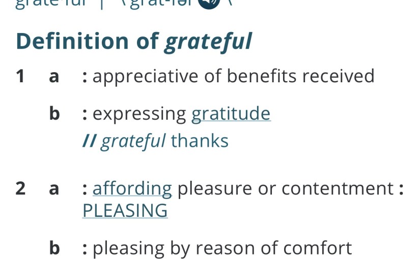 What can you be grateful&nbsp;for?