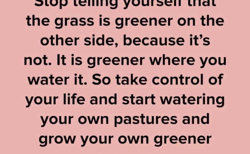 Do you need to&nbsp;water?